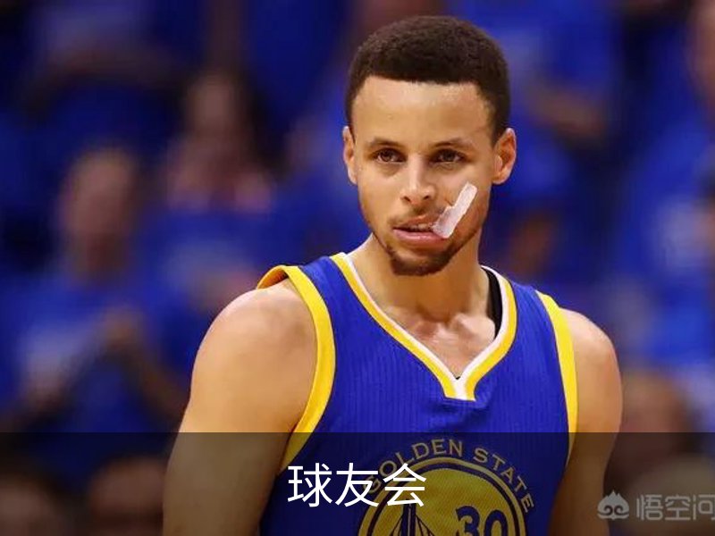 球友会概况